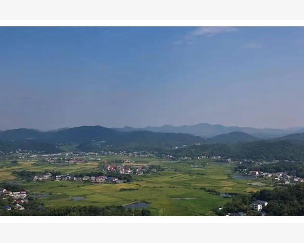 通过半月板损害吃什么好？